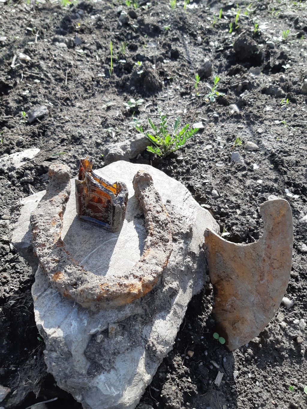 Jardin Paladin Garden inc. | Sur le coin de la 220 et, Chemin de la Colline, Orford, QC J1X 6R4, Canada | Phone: (819) 574-3093