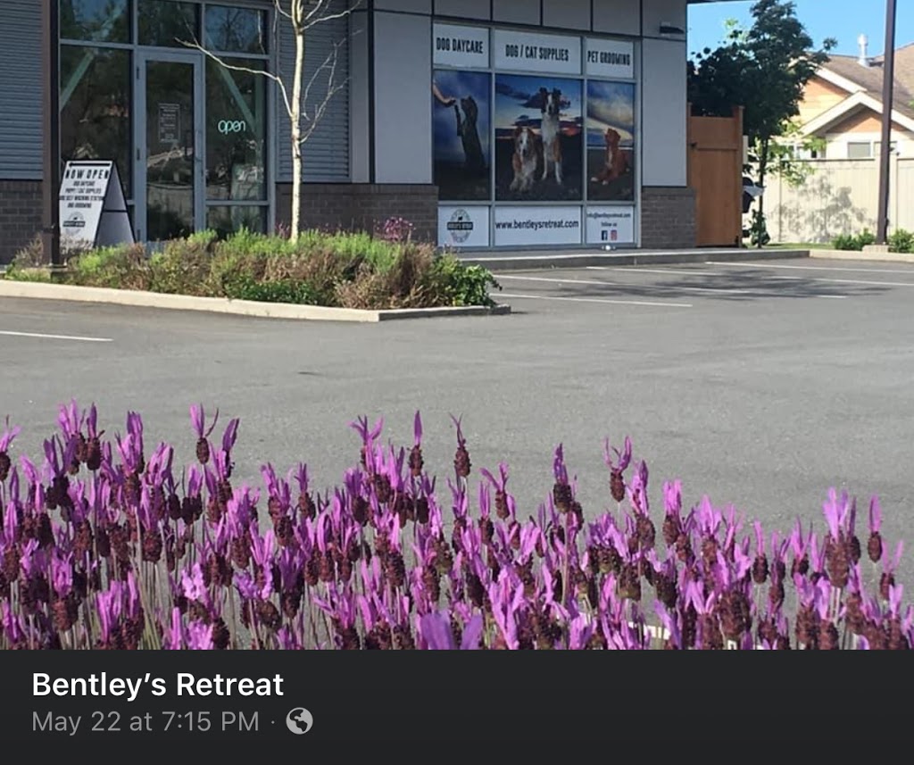 Bentleys Retreat | #102, 368 175a St Unit 102, Surrey, BC V3S 6S7, Canada | Phone: (778) 537-2368