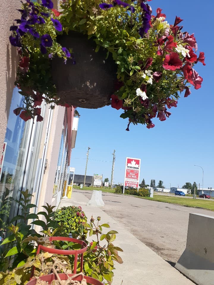 Petro-Canada Liquor Store | 5003 45 Ave, Millet, AB T0C 1Z0, Canada | Phone: (780) 387-3305