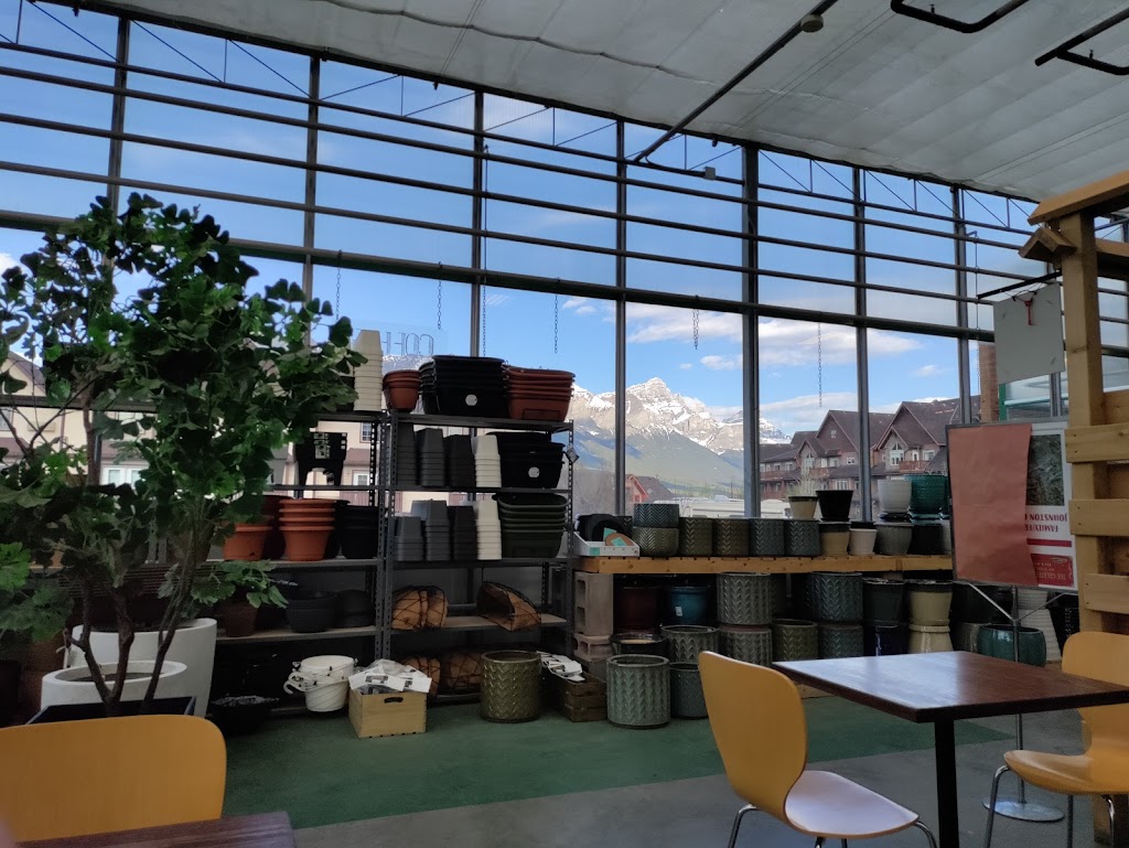 Wagashi Tea House | Inside of Garden Centre, 60 Lincoln Park, Canmore, AB T1W 3E9, Canada | Phone: (403) 497-6144