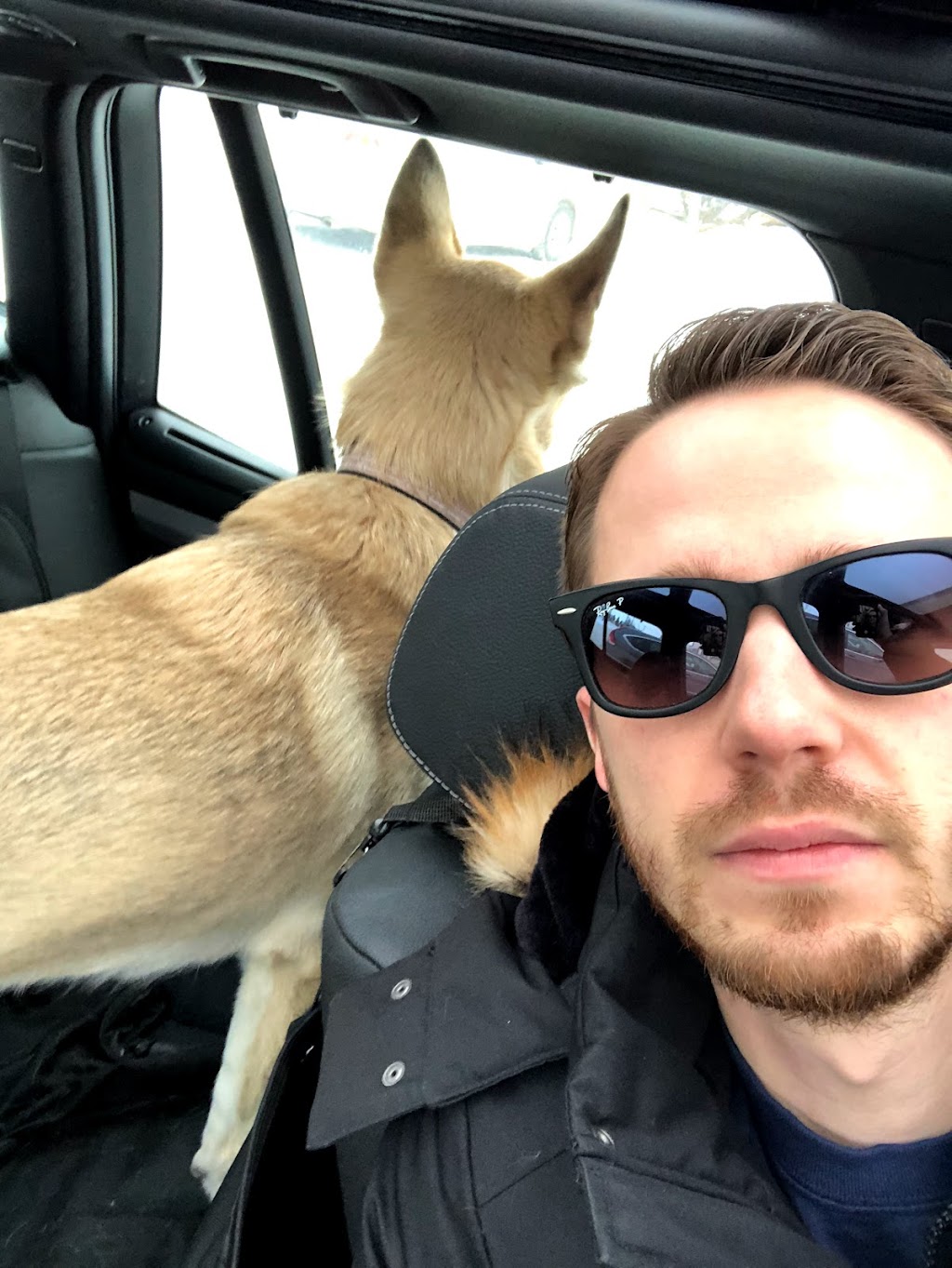 Wooftopia Dog Training and Recreation Centre | 25 Otter St, Winnipeg, MB R3T 0M7, Canada | Phone: (204) 477-9663