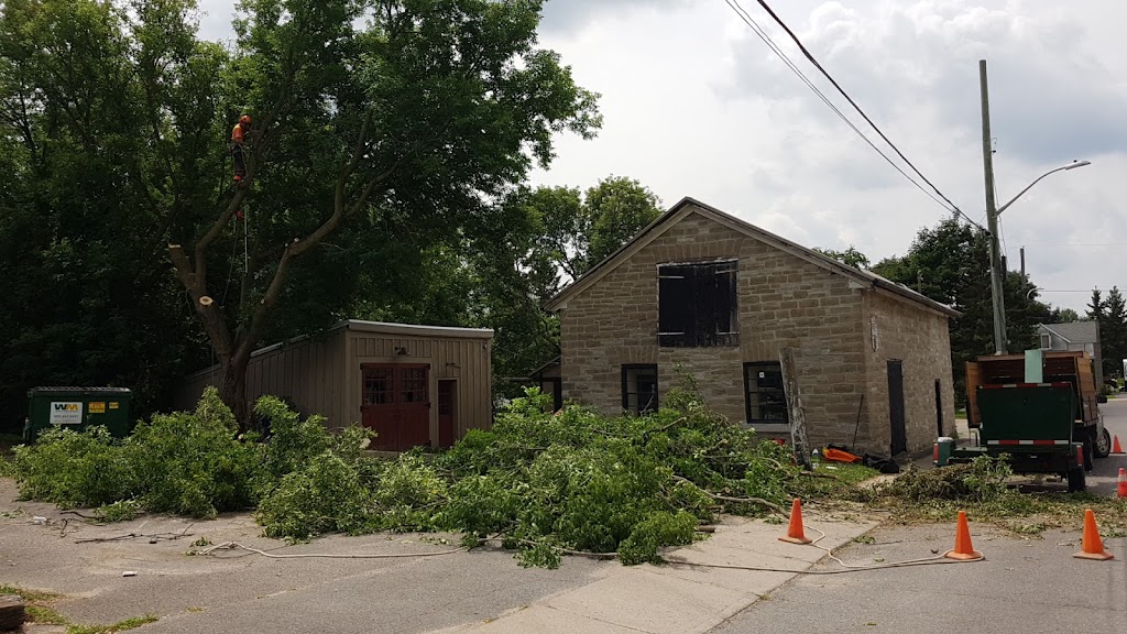 Frontenac Tree Service | 53 Huffman Rd, Yarker, ON K0K 3N0, Canada | Phone: (343) 884-6311