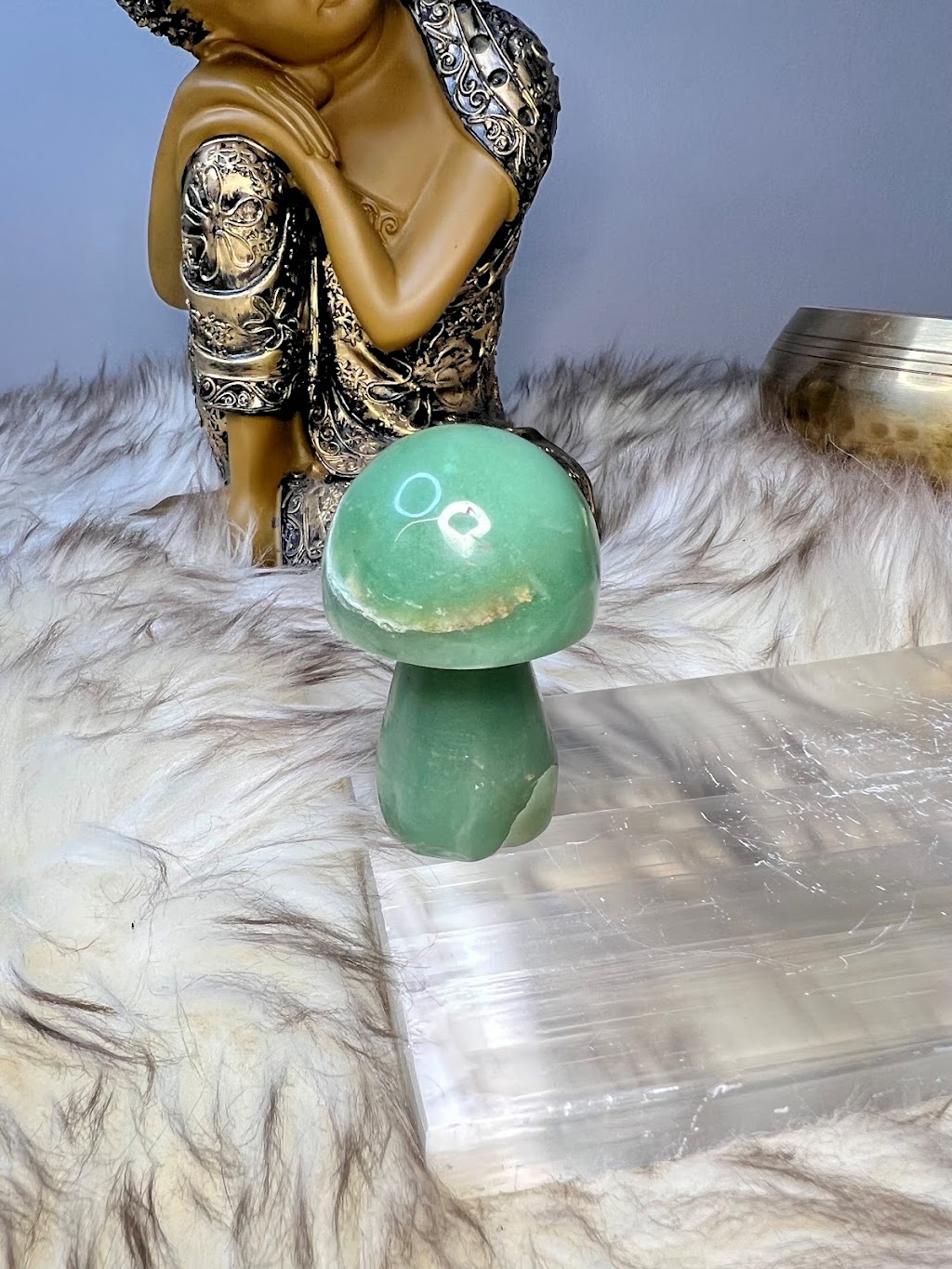 Chameleon Crystals | 54 Bartor Rd, North York, ON M9M 2G5, Canada | Phone: (647) 404-7291