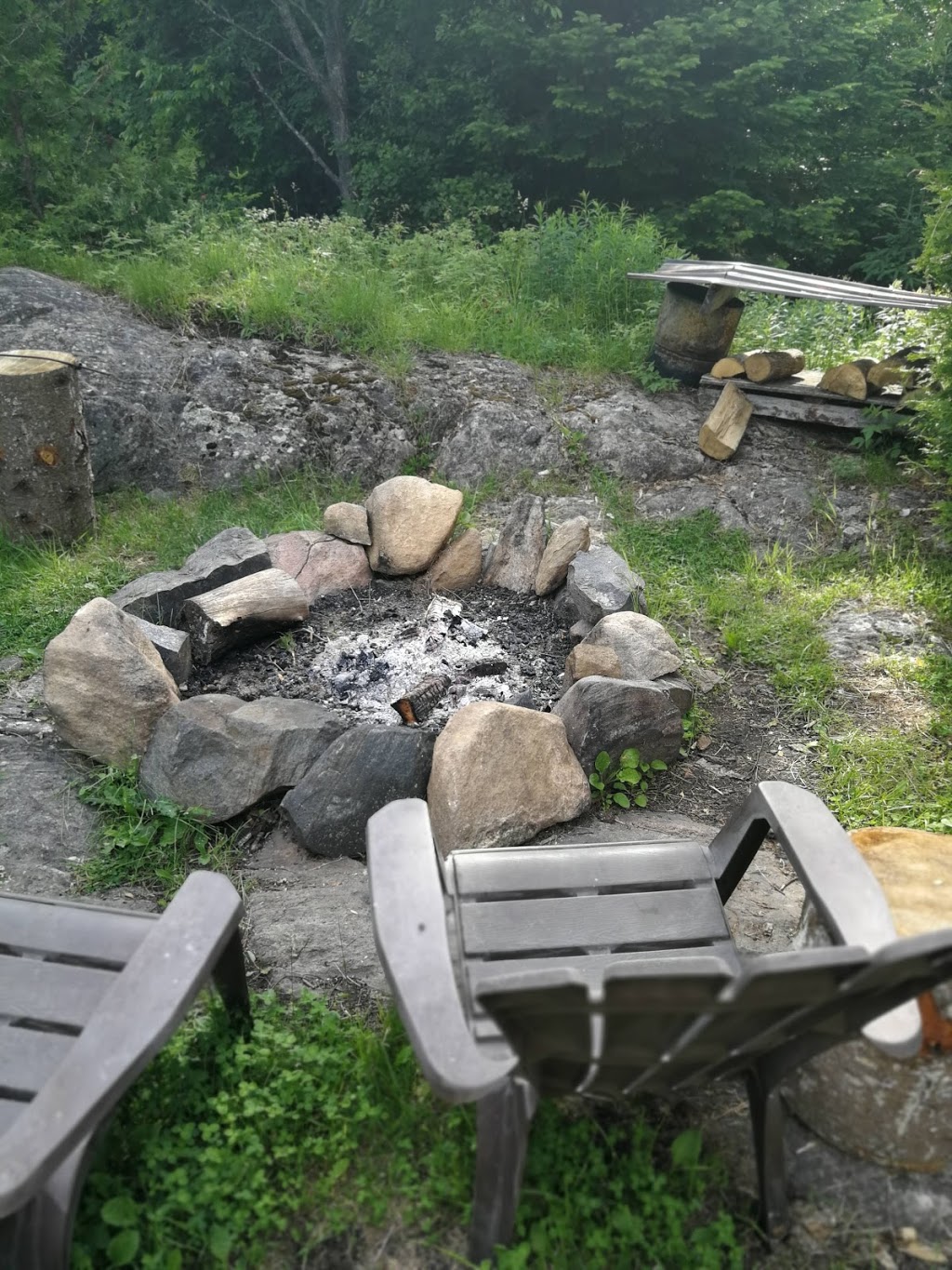 Ferme Riverview Farm | 659 Chemin de Brookdale, Boileau, QC J0V 1N0, Canada | Phone: (819) 687-3053