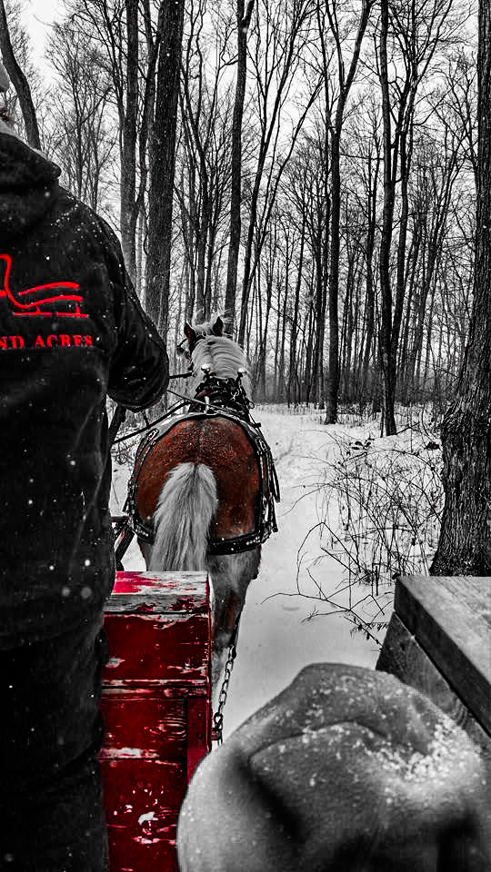 Riverbend Acres | 906786 Township Rd 12, Bright, ON N0J 1B0, Canada | Phone: (519) 504-8340