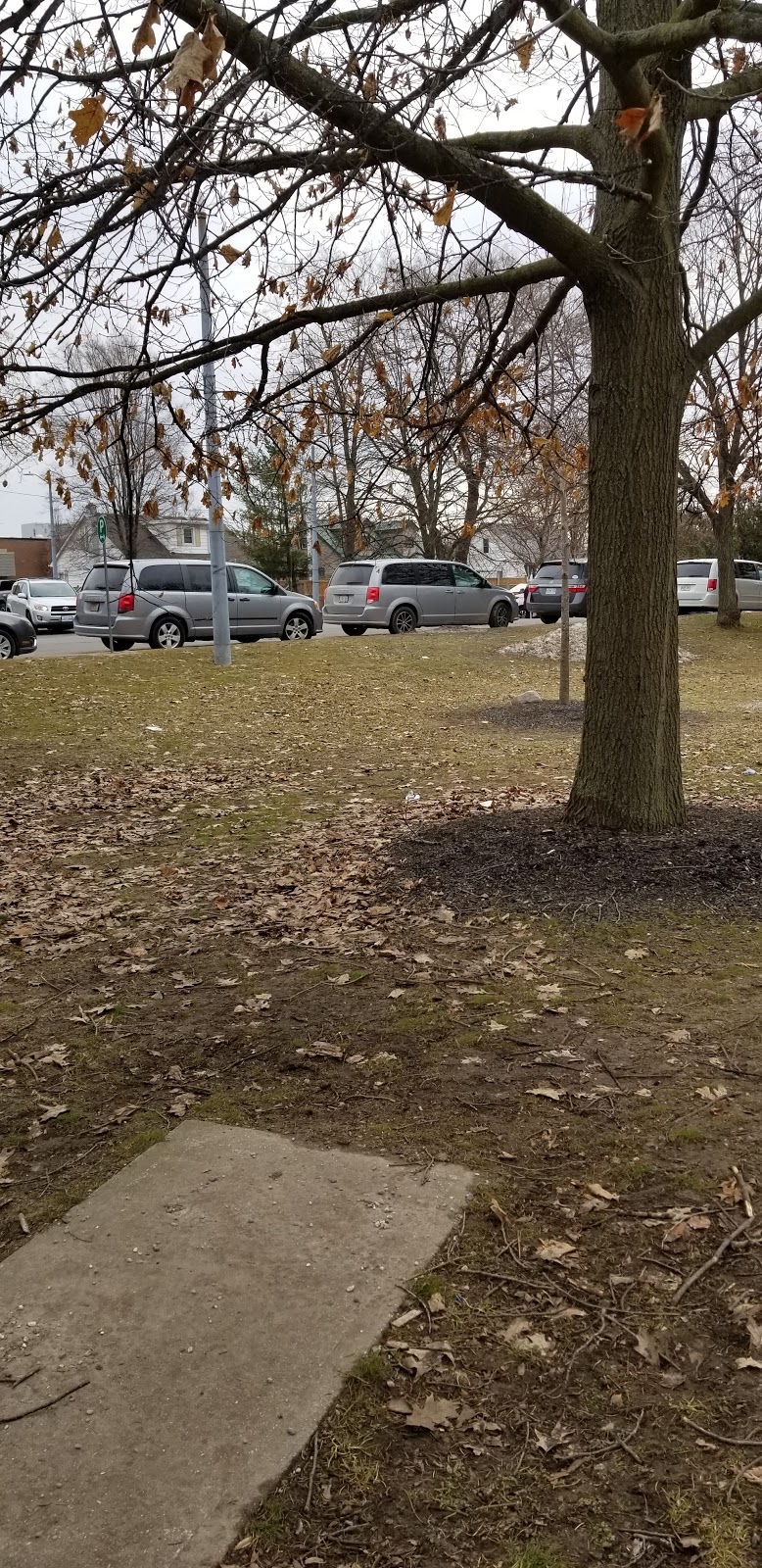 Kolin Smith Memorial Skatepark | 40-56 Hardy Ave, Tillsonburg, ON N4G 3X1, Canada | Phone: (519) 688-9011