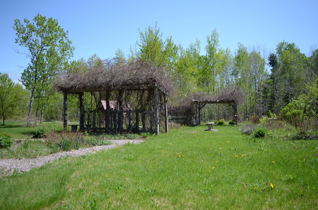 Yoga Cabin | 7967 County Rd 13, Lisle, ON L0M 1M0, Canada | Phone: (705) 440-7766