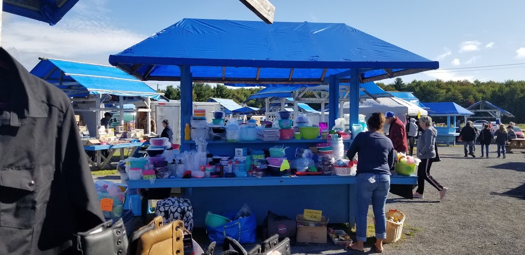 Marché Aux Puces le Toit Bleu | 1300 Chemin Barrette, Saint-Félix-de-Valois, QC J0K 2M0, Canada | Phone: (450) 889-4806