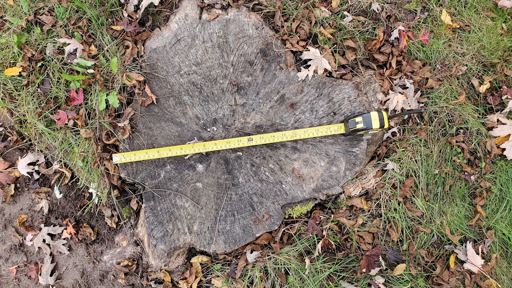 Chip It Guy Brush Chipping & Stump Grinding | 12459 Sixth Line Nassagaweya, Acton, ON L7J 2L7, Canada | Phone: (905) 864-5852
