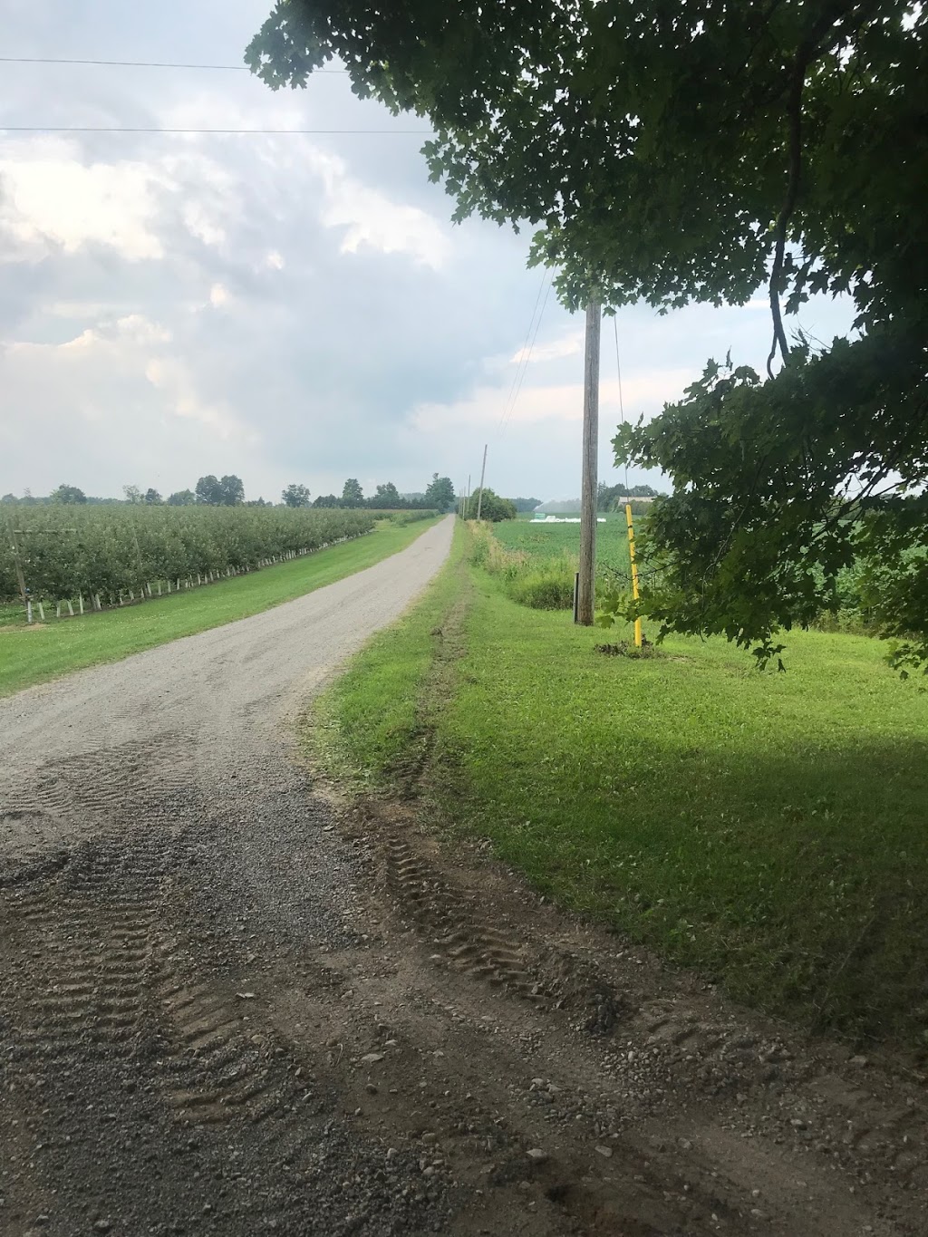 Gerodo Contracting | 1 Vance Dr Unit 3, Tillsonburg, ON N4G 4M4, Canada | Phone: (519) 688-2445