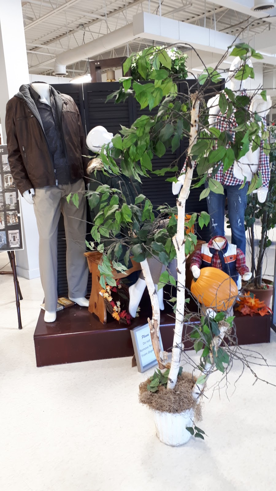 Mission Thrift Store | 975 Elgin St W, Cobourg, ON K9A 5J3, Canada | Phone: (289) 252-2299