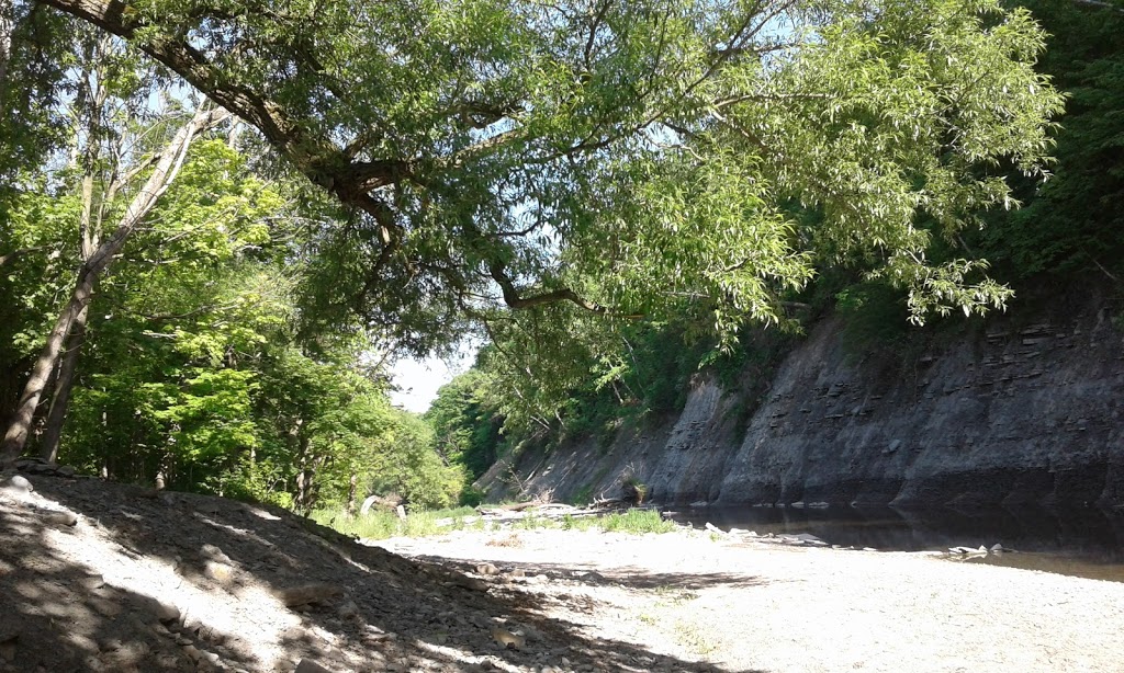Etobicoke Creek Trail | 2120 Rathburn Rd E, Mississauga, ON L4W 2S8, Canada