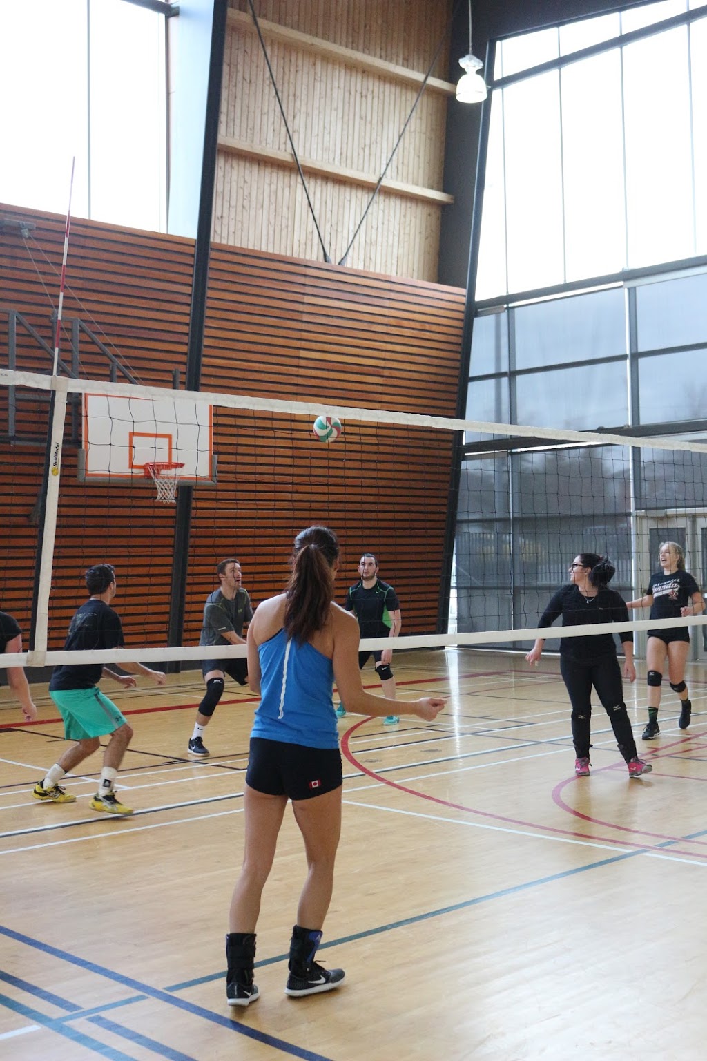 Viva Volleyball | John Walter Crescent, Courtice, ON L1E 2W7, Canada | Phone: (905) 550-5209