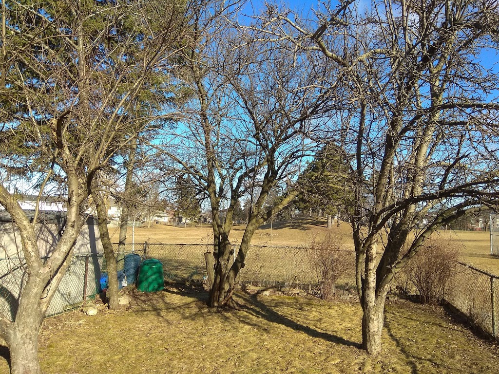 Berner Trail Park | 45 Nahanni Terrace, Scarborough, ON M1B 1E7, Canada | Phone: (416) 338-4386