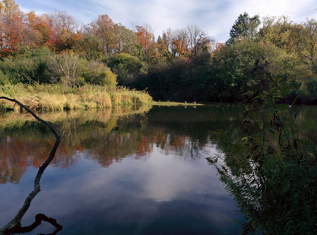 Eramosa River Park | 259 Victoria Rd S, Guelph, ON N1E 5P9, Canada | Phone: (519) 822-1260