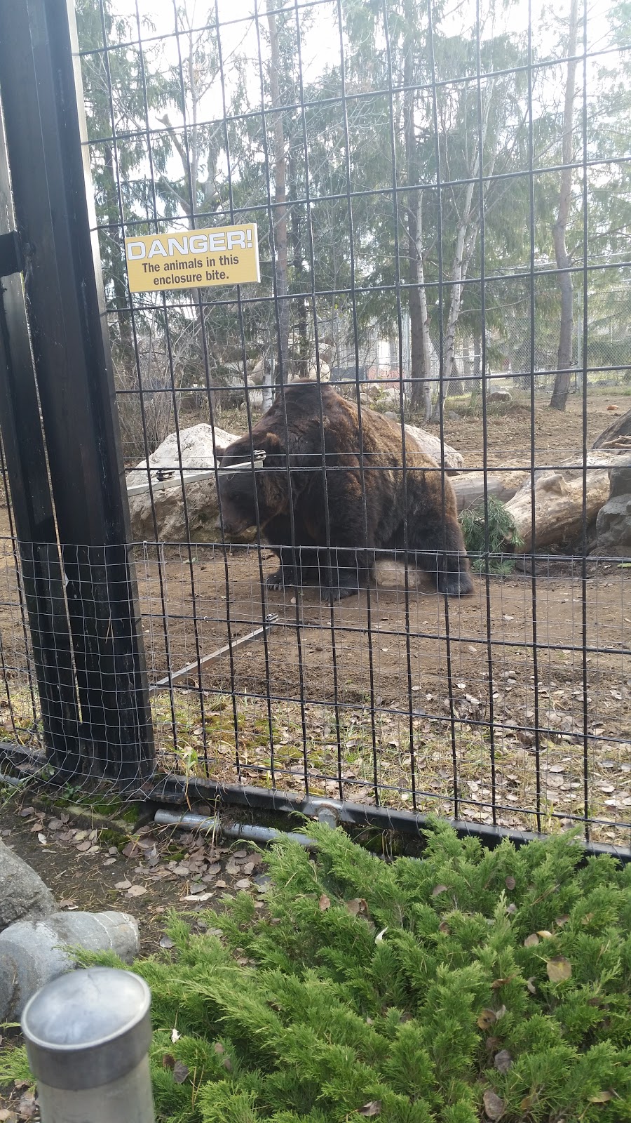Saskatoon Zoo Society | 1903 Forestry Farm Park Dr, Saskatoon, SK S7S 1G9, Canada | Phone: (306) 975-3395