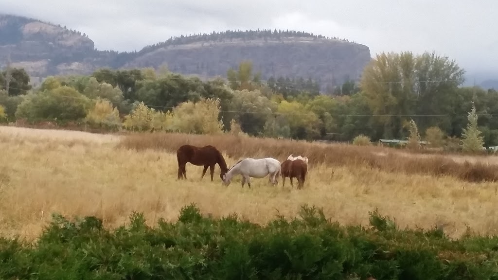 Desert Lake RV Resort | 7156 Merganser Pl, Oliver, BC V0H 2T0, Canada | Phone: (866) 485-0158