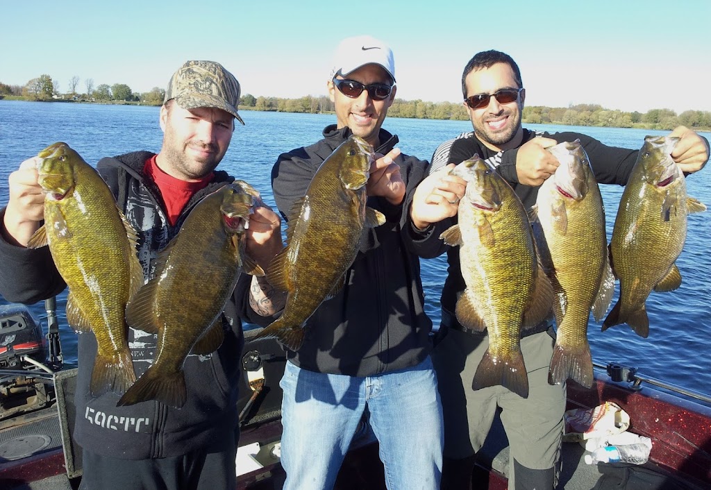 Advanced Bassin Plus | 210 Rue Sommerset, Dollard-des-Ormeaux, QC H9G 2G8, Canada | Phone: (514) 696-1741