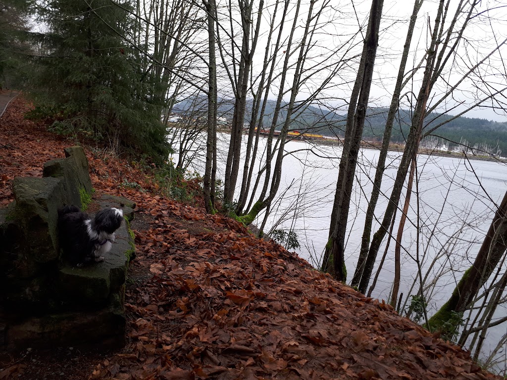 Ladysmith Marina | 901 Gladden Rd, Ladysmith, BC V9G 1K4, Canada | Phone: (250) 245-4521