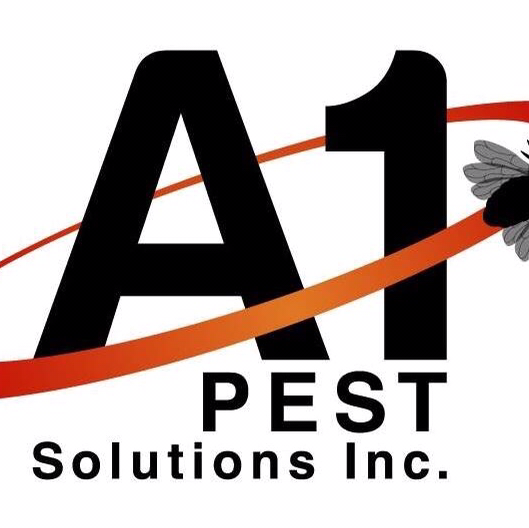 A1 Pest Solutions Inc | 80 Boys Rd Unit 3, Winnipeg, MB R2C 2Z2, Canada | Phone: (204) 292-2120