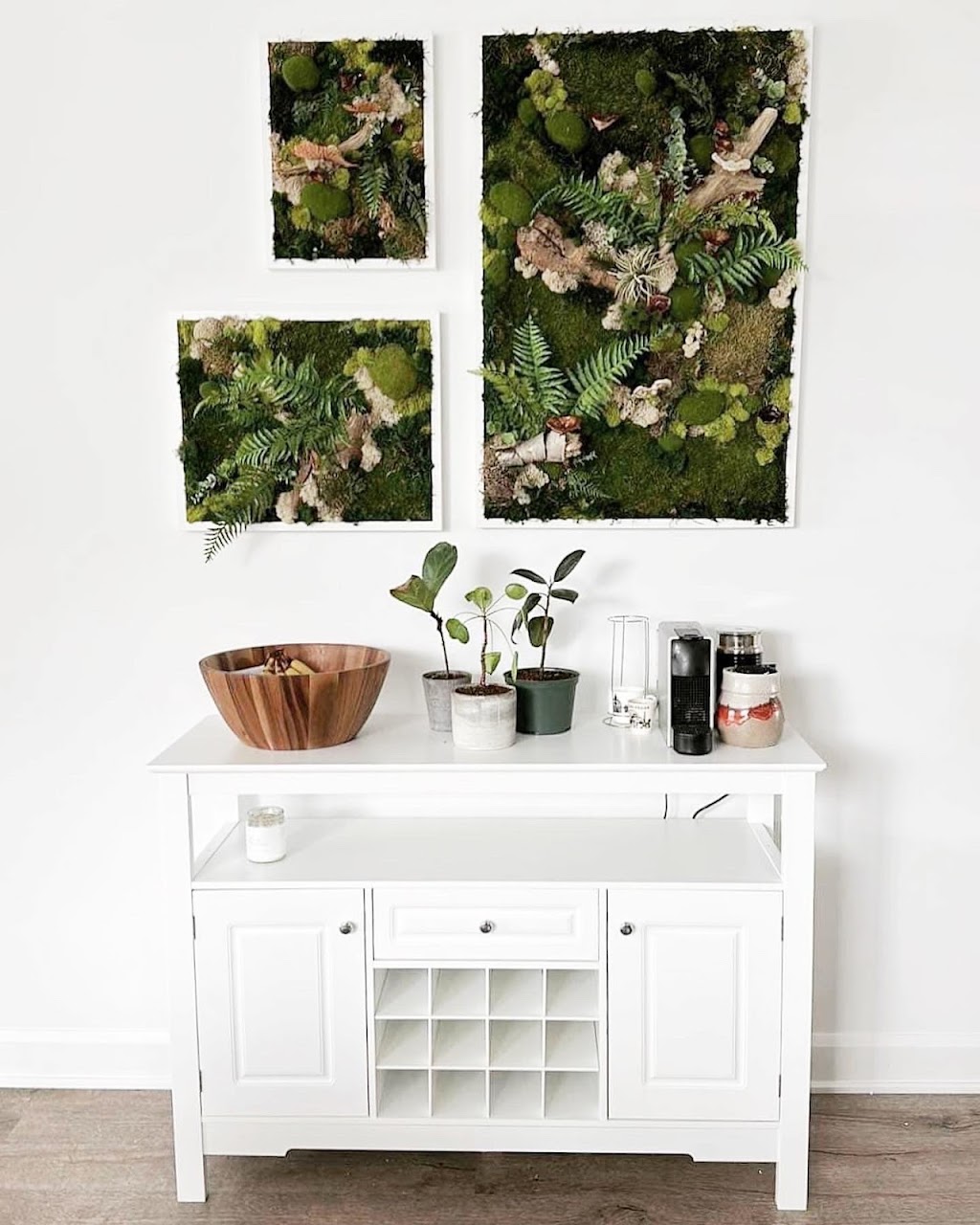 Hoya Botanica | Rue des Saules, Saint-Liboire, QC J0H 1R0, Canada | Phone: (450) 230-3718