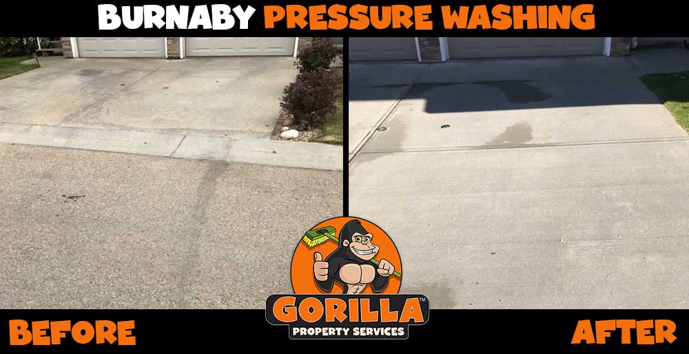 Gorilla Property Services | 4111 Hastings St Ste 170, Burnaby, BC V5C 6T7, Canada | Phone: (604) 467-4552