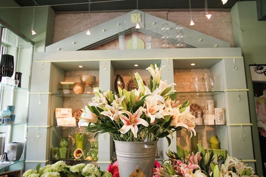 Beyond Flowers | 1099 Corydon Ave, Winnipeg, MB R3M 0X3, Canada | Phone: (204) 477-5787