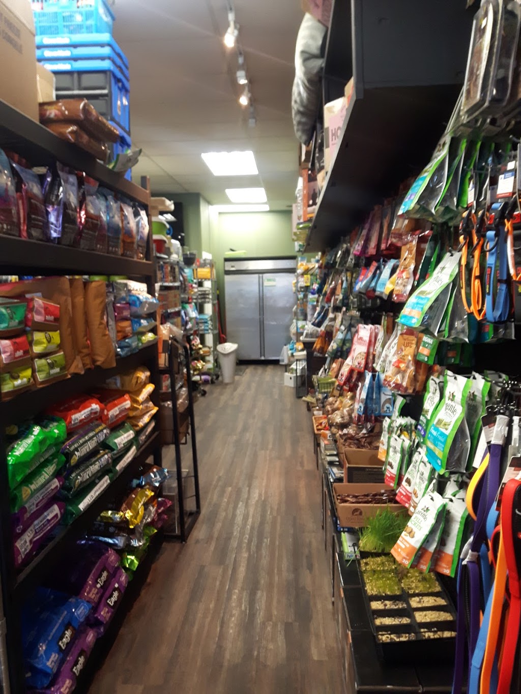 The Dog Dish & Friends | 1516 Fairfield Rd, Victoria, BC V8S 1G1, Canada | Phone: (250) 370-1124