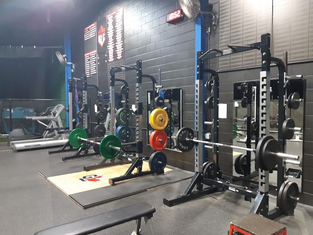 Pro Function Sports Injury Clinic | 25 Midpark Crescent, London, ON N6N 1A9, Canada | Phone: (519) 860-5090