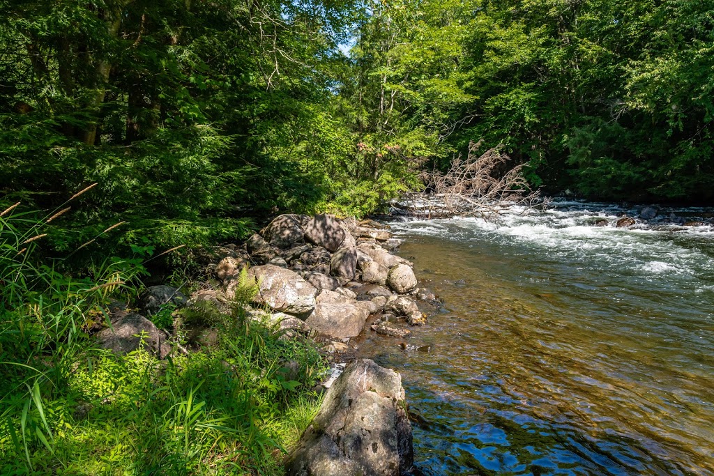 Hawk Lake Log Chute | 1584 Big Hawk Lake Rd, Algonquin Highlands, ON K0M 1J2, Canada | Phone: (705) 489-2379
