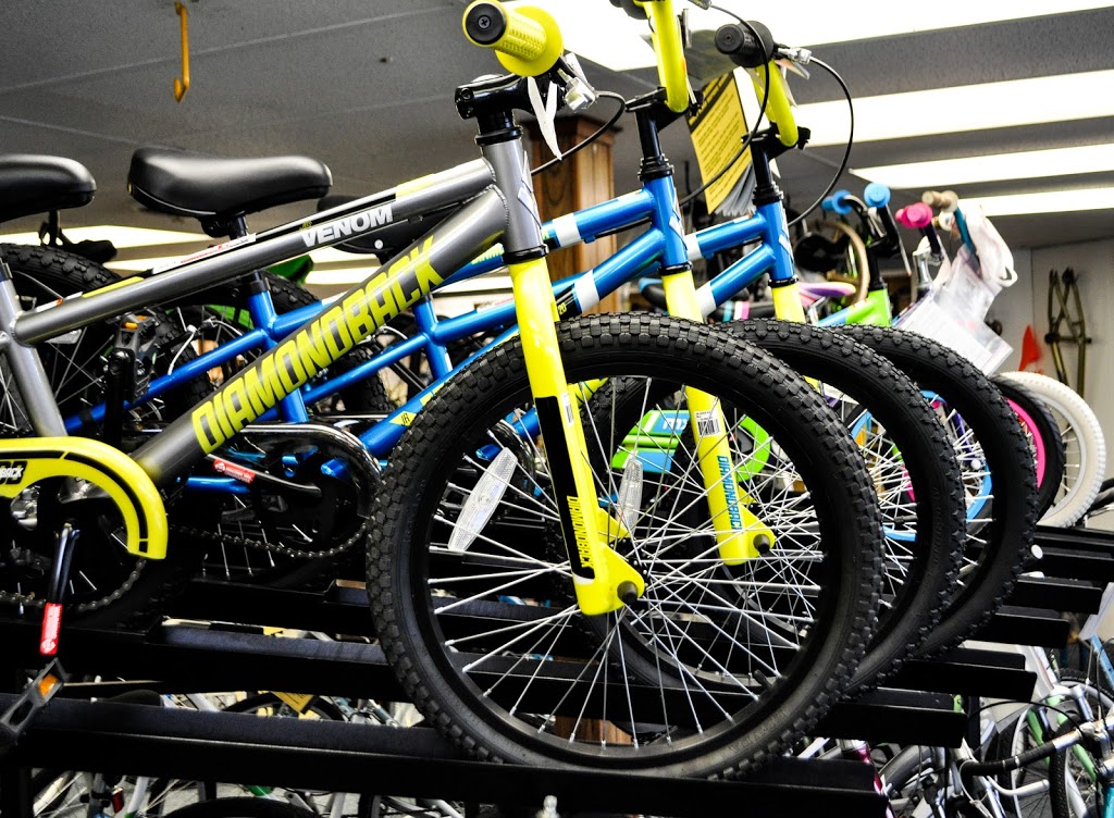 Bicycles & More | 2474 George Urban Blvd, Depew, NY 14043, USA | Phone: (716) 683-1250