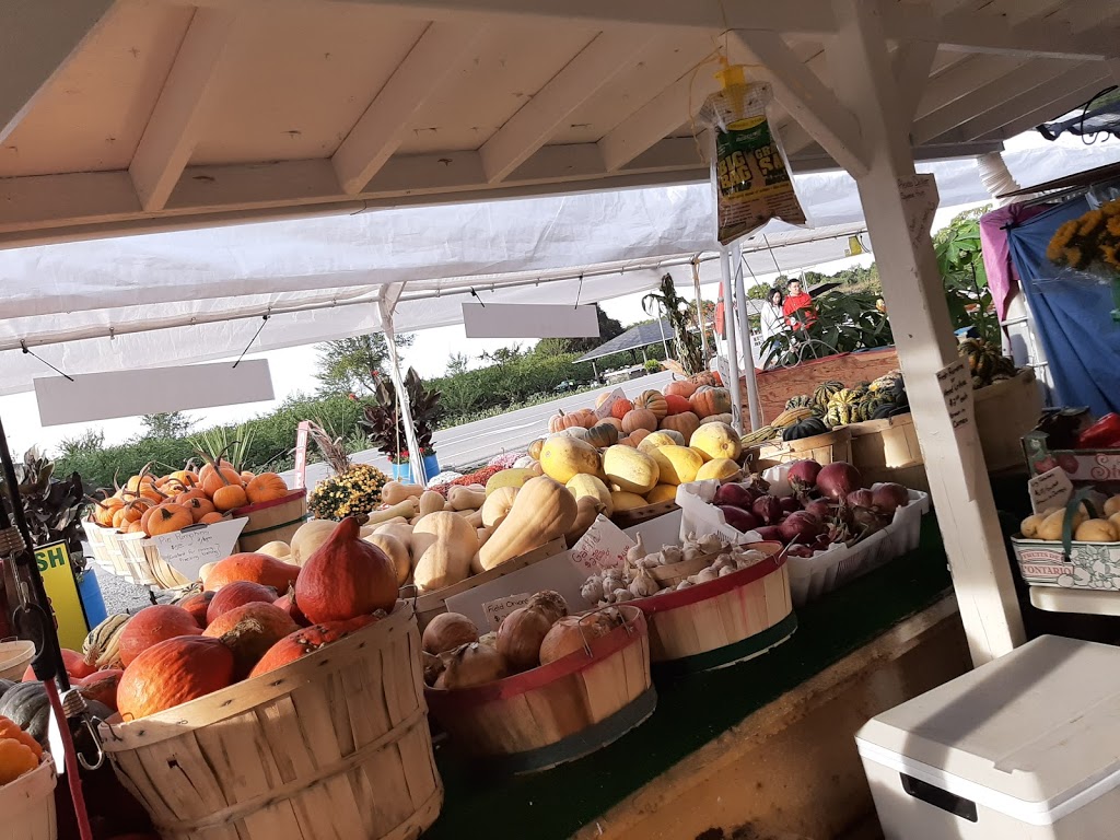 Niagara Quality Fruit | 667 Regional Rd 87, Niagara-on-the-Lake, ON L0S 1J0, Canada | Phone: (905) 347-3700