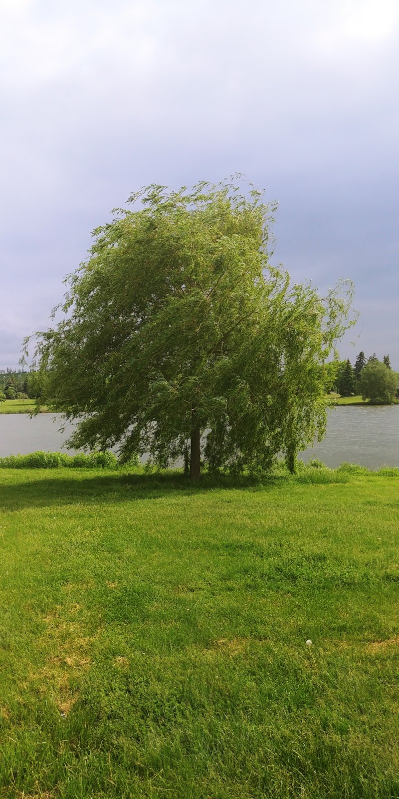 Centenial Park Picnic area 8 | Park, Toronto, ON M9C, Canada