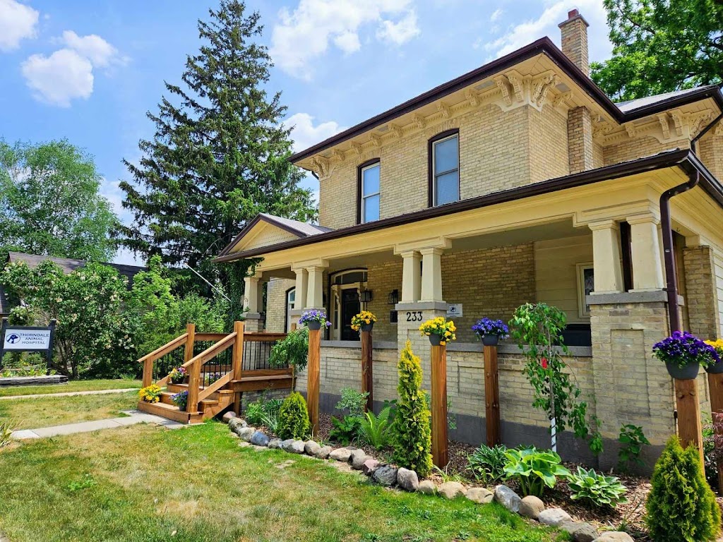 Thorndale Animal Hospital | 233 King St, Thorndale, ON N0M 2P0, Canada | Phone: (519) 433-6900