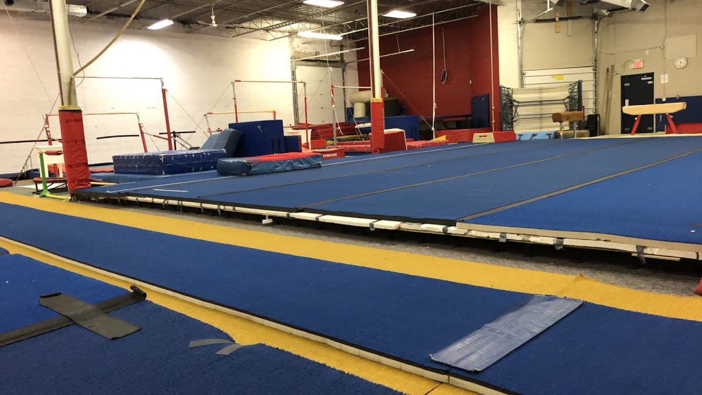 LONDON BEJE GYMNASTICS | 1565 N Routledge Park, London, ON N6H 5L7, Canada | Phone: (519) 777-5208