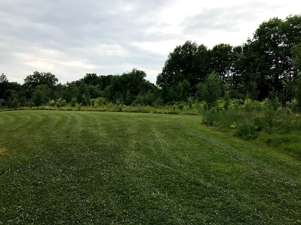 Mitches Park | Upper Queen St, London, ON N6C, Canada