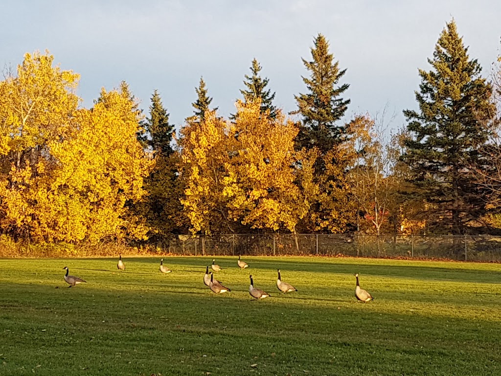 St. Vital Park | 190 River Rd, Winnipeg, MB R2M 5C4, Canada | Phone: (877) 311-4974