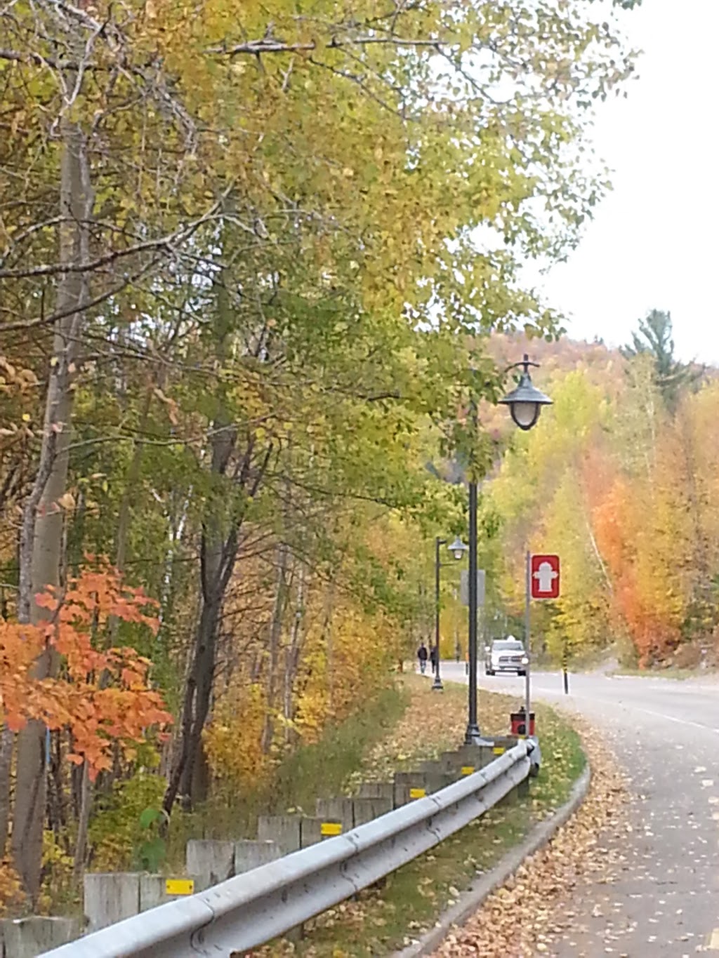 Habitat Vivant Inc | 100 Av. des Monts, Lac-Delage, QC G3C 5B8, Canada | Phone: (418) 848-4949