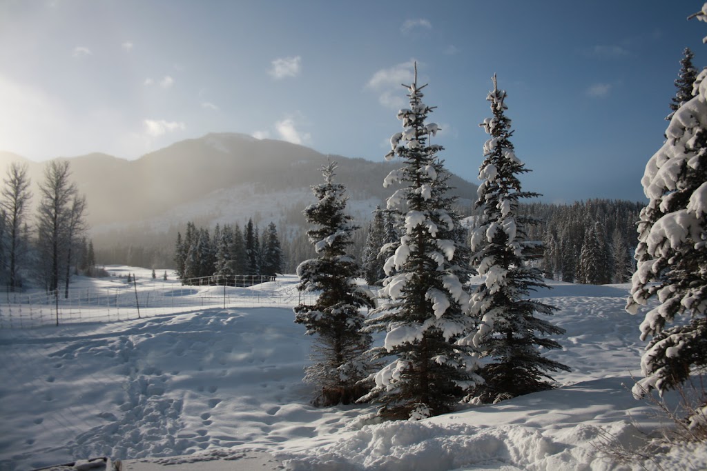 Lone Wolf Chalet | 1856 Greywolf Dr, Panorama, BC V0A 1T0, Canada | Phone: (403) 812-1688