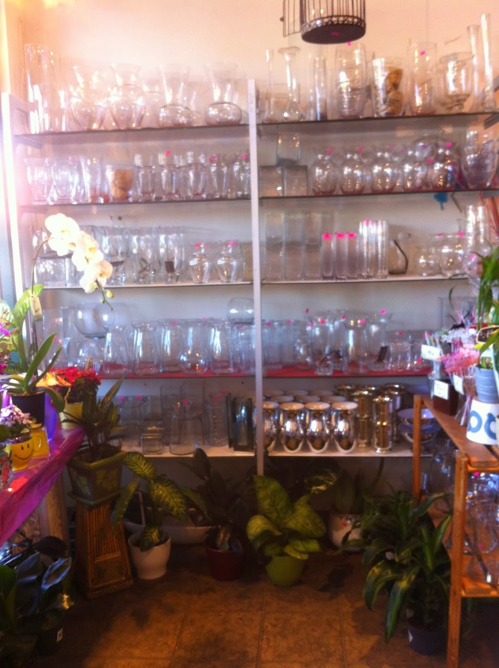 Flower Affairs | 4430 W Saanich Rd, Victoria, BC V8Z 3E9, Canada | Phone: (250) 479-8166