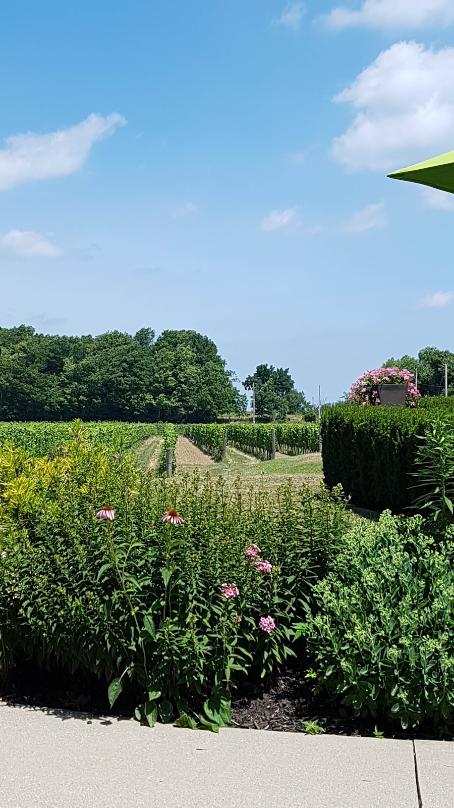 Hidden Bench Estate Winery. | 4152 Locust Ln, Beamsville, ON L0R 1B0, Canada | Phone: (905) 563-8700