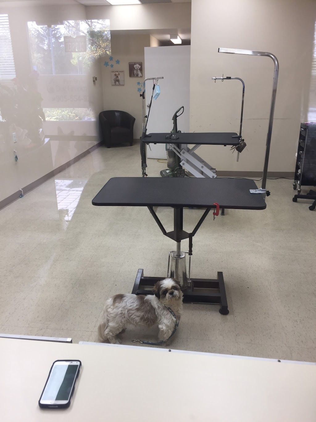 Fur-Style Dog Grooming | 5970 16th Ave #106, Markham, ON L3P 7R1, Canada | Phone: (905) 554-9258