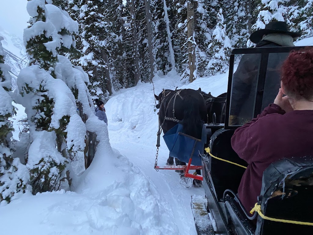 Brewsters Lake Louise Stables | 111 Lake Louise Dr, Lake Louise, AB T0L 1E0, Canada | Phone: (403) 762-5454