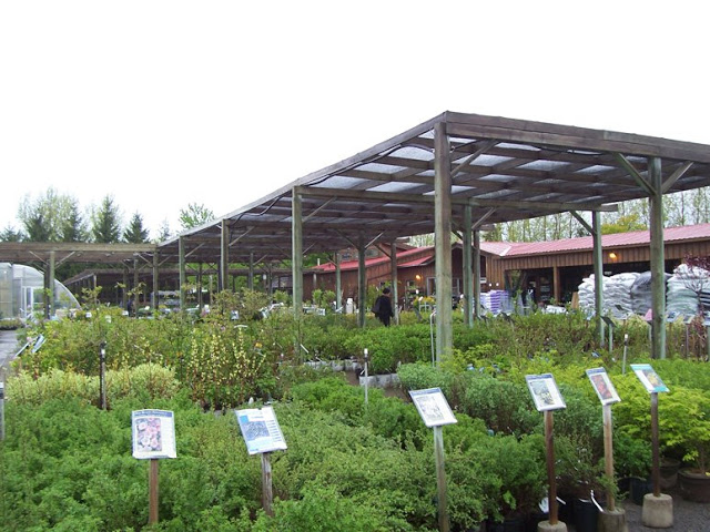 Pioneer Nursery | 632 Van Buren St, Kemptville, ON K0G 1J0, Canada | Phone: (613) 258-5555