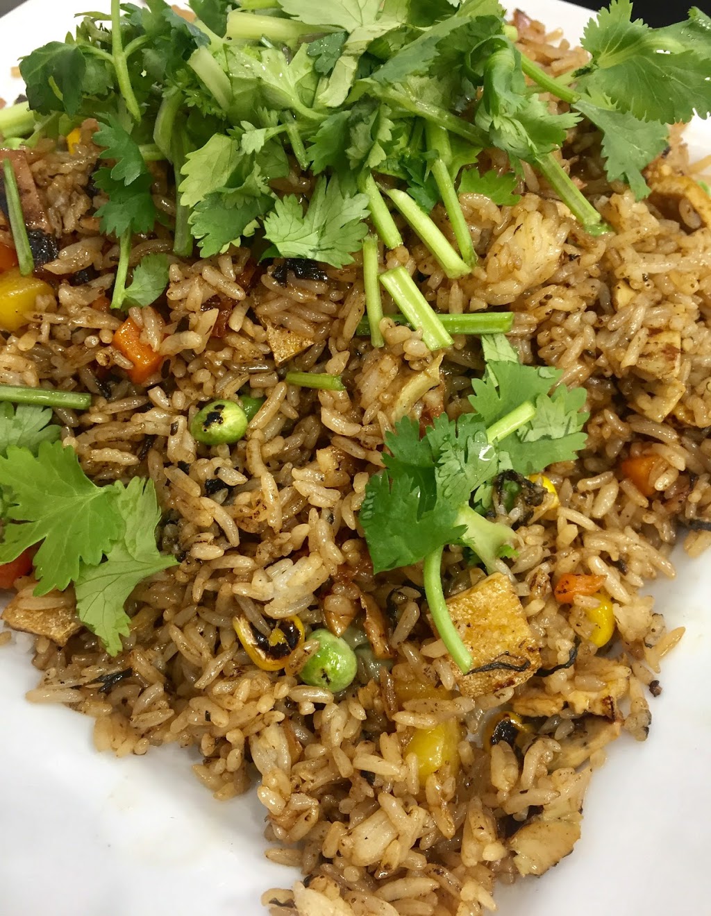 Pho Chay 88 | 2849 Jane St, North York, ON M3N 2J5, Canada | Phone: (647) 748-5533