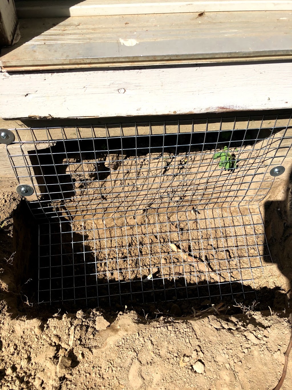 Speedy Pest Control | 1606 Otterby Rd, Mississauga, ON L4X 1W7, Canada | Phone: (647) 965-2048