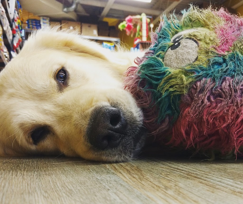Thors Healthy Pet Foods | 3-, 3840 Dominion Rd, Ridgeway, ON L0S 1N0, Canada | Phone: (289) 876-8258