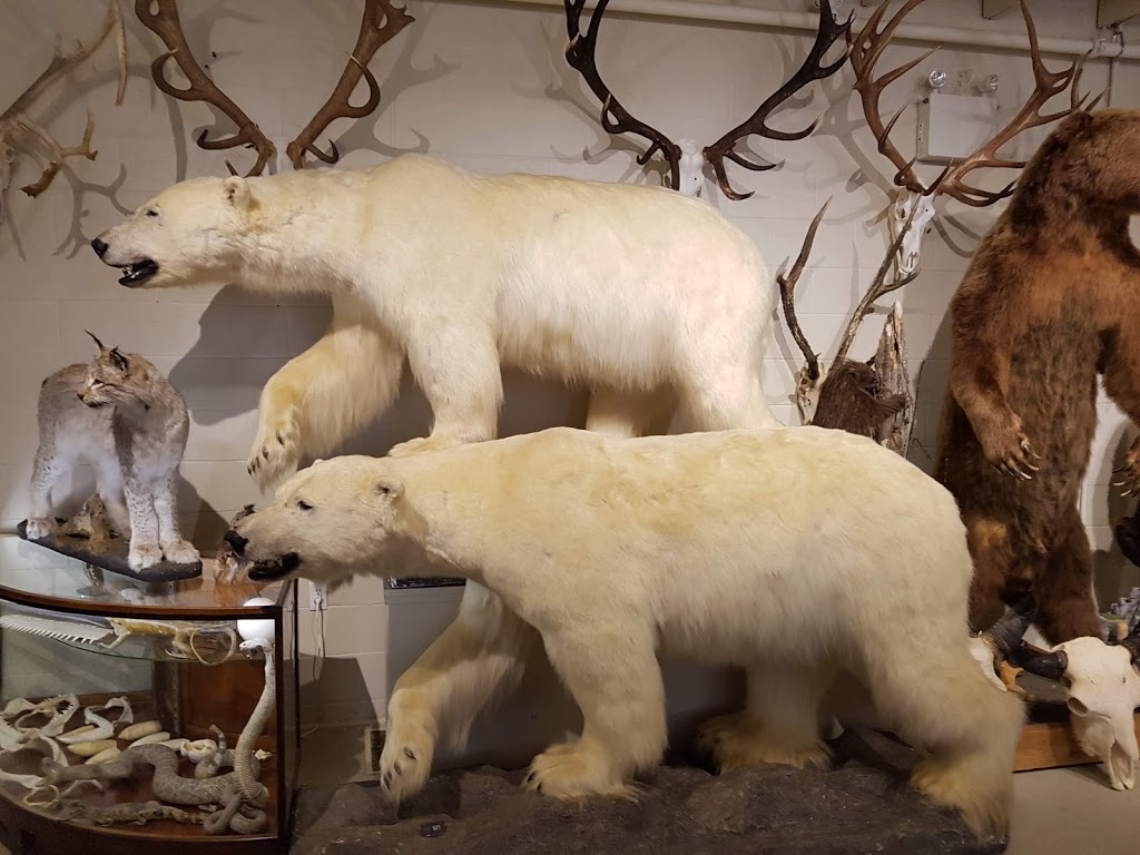 Hand of Man Museum | 6759 Considine Ave, Duncan, BC V9L 5X2, Canada | Phone: (888) 826-1011