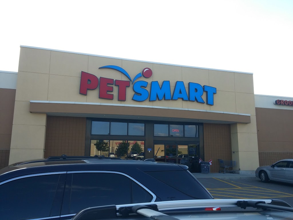 Petsmart Outer Loop