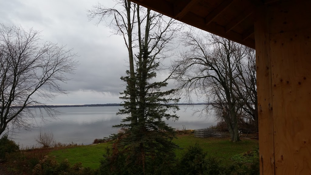 Michael Spiro | Maple Grove Dr, Gilford, ON L0L 1R0, Canada | Phone: (705) 456-9719